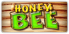 Honey Bee