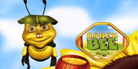 Honey Bee